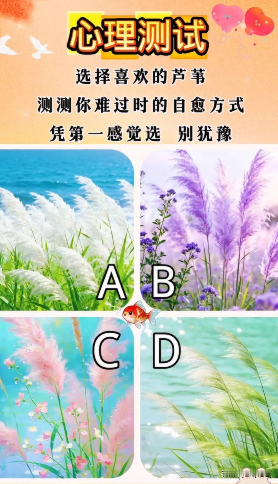 选择喜欢的芦苇测测你难过时的自愈方式凭第一感觉选别犹豫