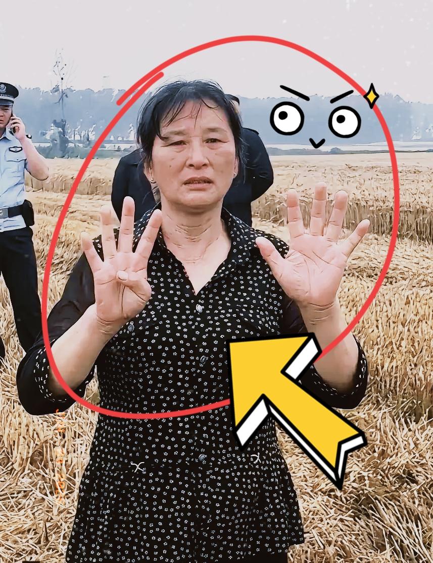 襄阳那位“割四赔五”的大妈，终于低头了！谁能想到远道帮忙收麦子的河南小夫妻
