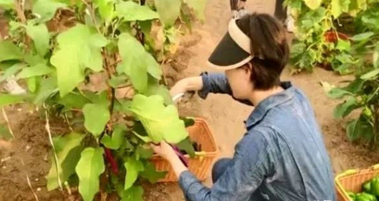孙俪家的菜园子真是让人羡慕到流口水！各种时令蔬菜水果摆满台面，隔着屏幕都能感