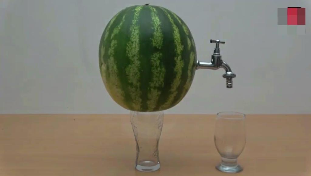 11802776396849500172.jpg?id=0
