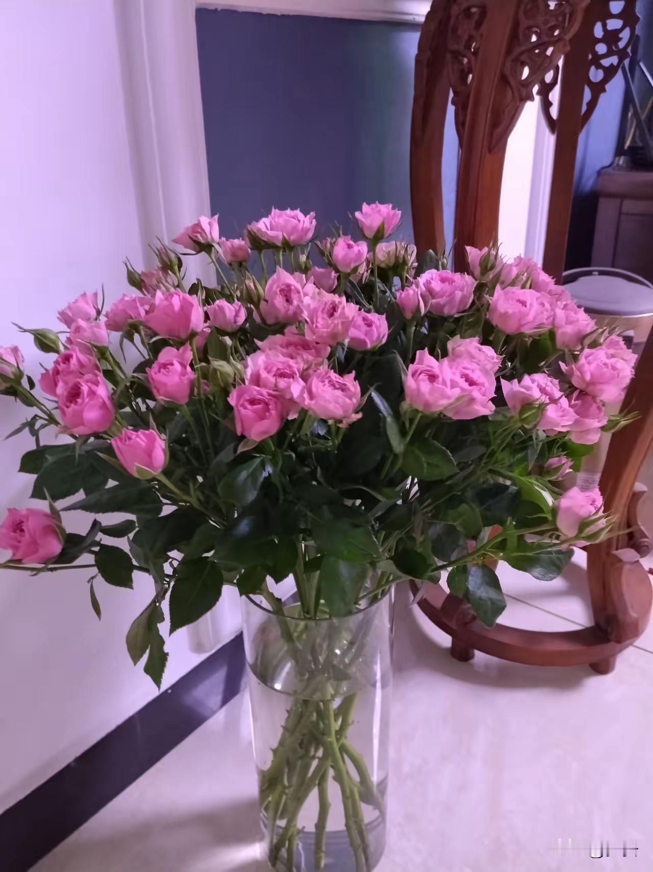 夜深了，大家都睡了吧。但是我家不行，睡不成。因为一句无关紧要的催促，高三的孩子忽