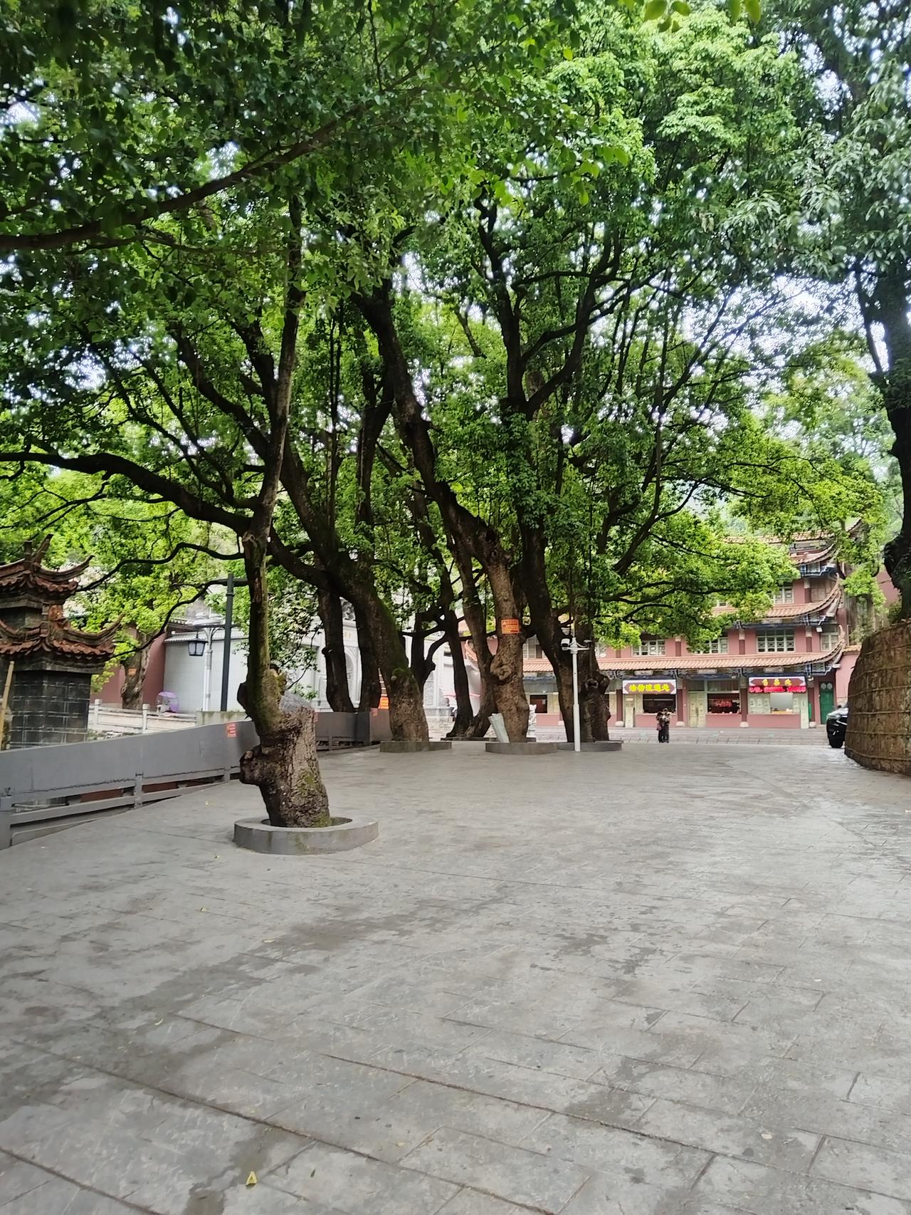 美丽的风景