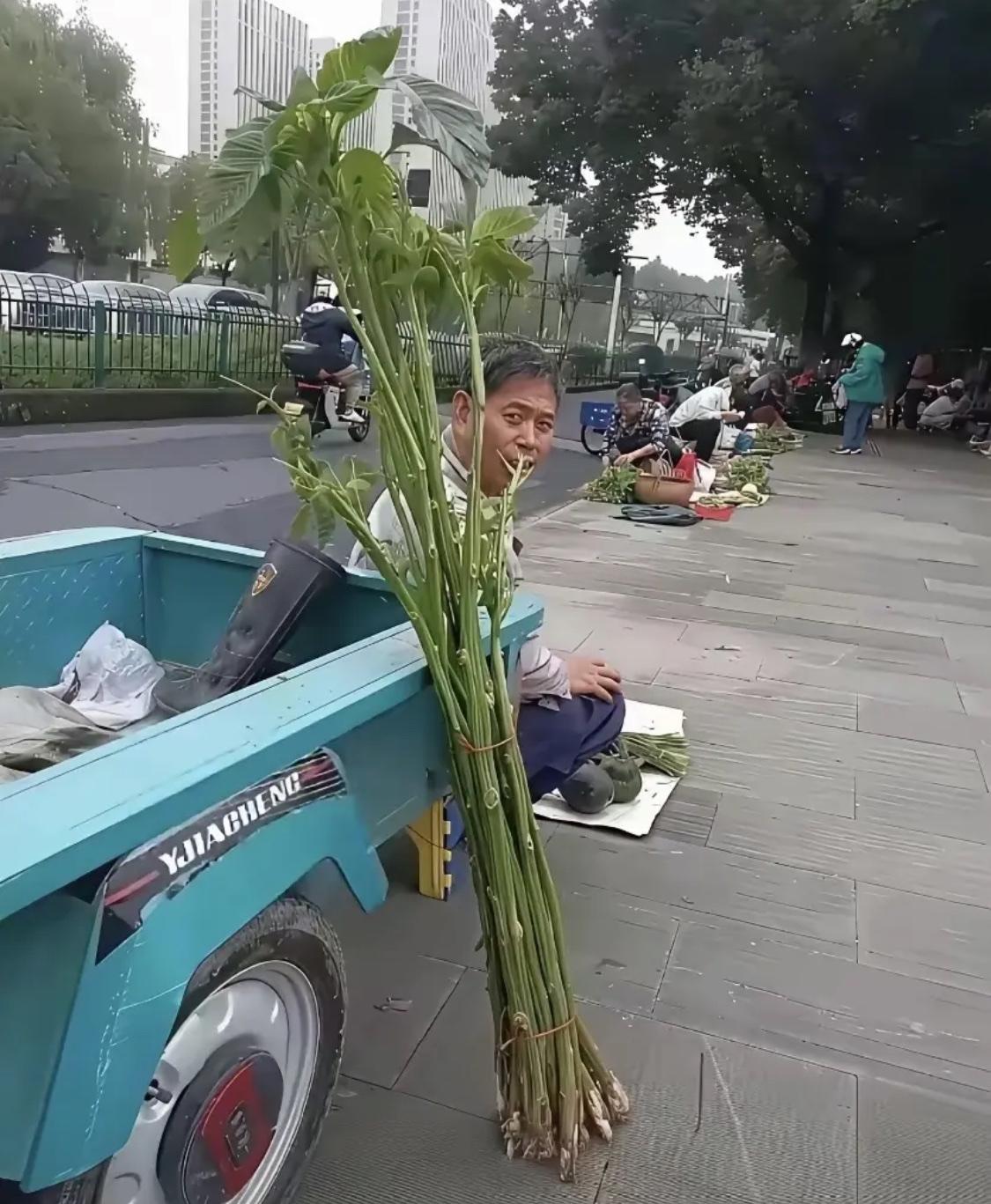 这是卖的什么菜？有人认识的吗？