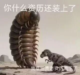 我去，老资历信鸭翼了