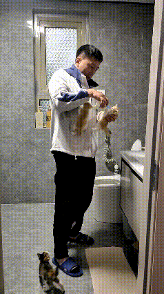 大哥刚踏进门，这窝奶猫跟饿狼似的，一个个饿得直叫唤，“喵呜喵呜”地往人身上扑。大