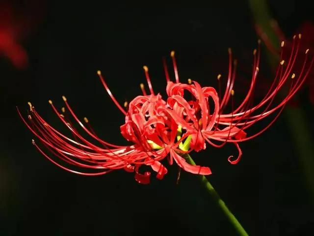 宇宙运行与哲学无关。哲学不是人类用来了解自然，开发自然的工具，所以哲学不是科学，