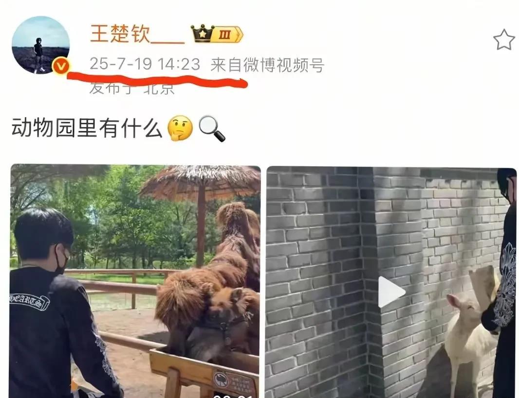今天楚钦发去动物园的视频，藏了三个月的视频终干发出来了。咱就是说动物园有啥的