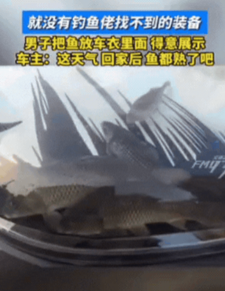 这钓鱼佬火了！”7月9日，辽宁，男子钓了4条大鱼，想要好好嘚瑟一下，竟然将4条鱼