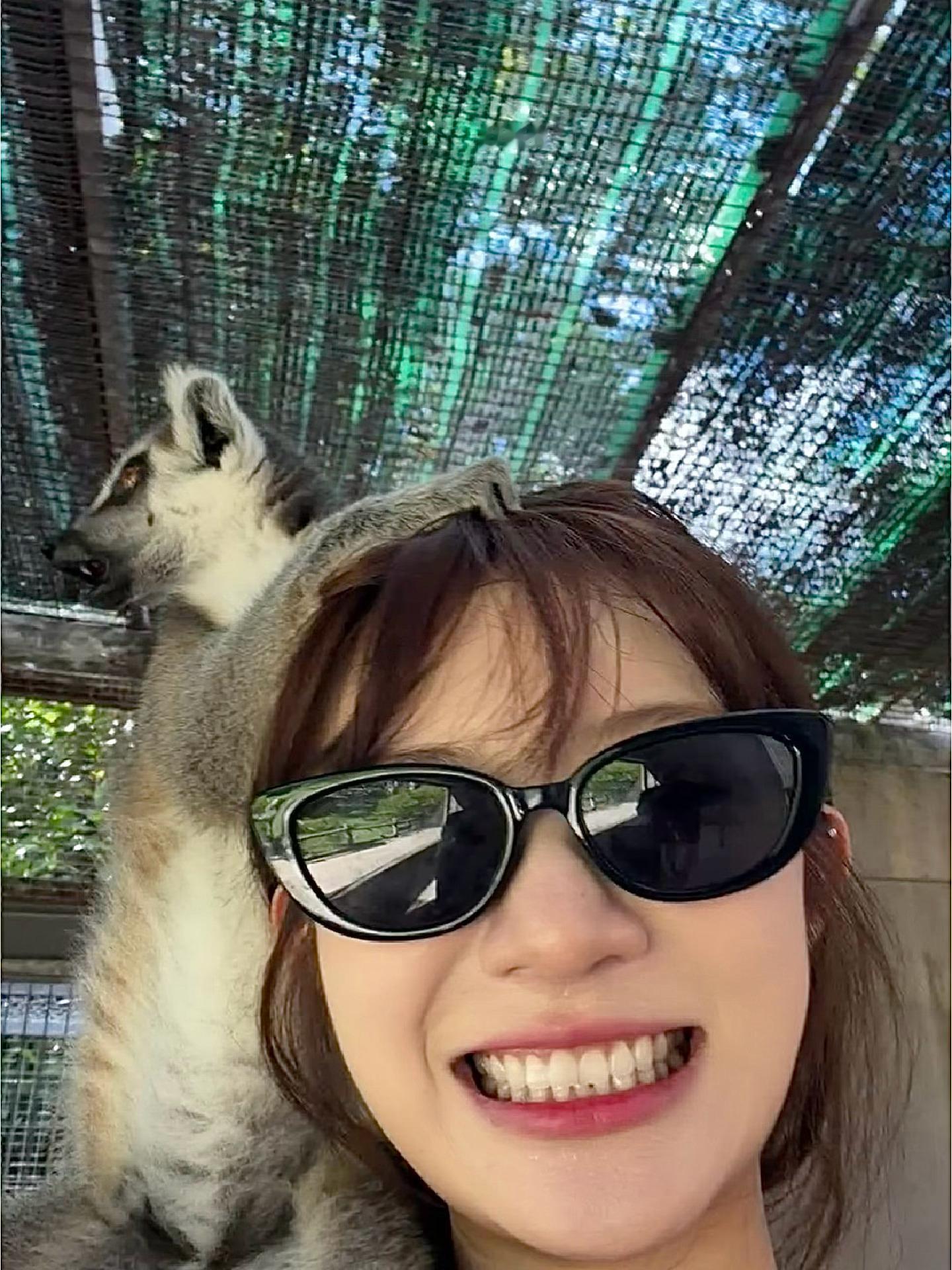 环尾狐猴：一个手拿食物的移动树桩罢了