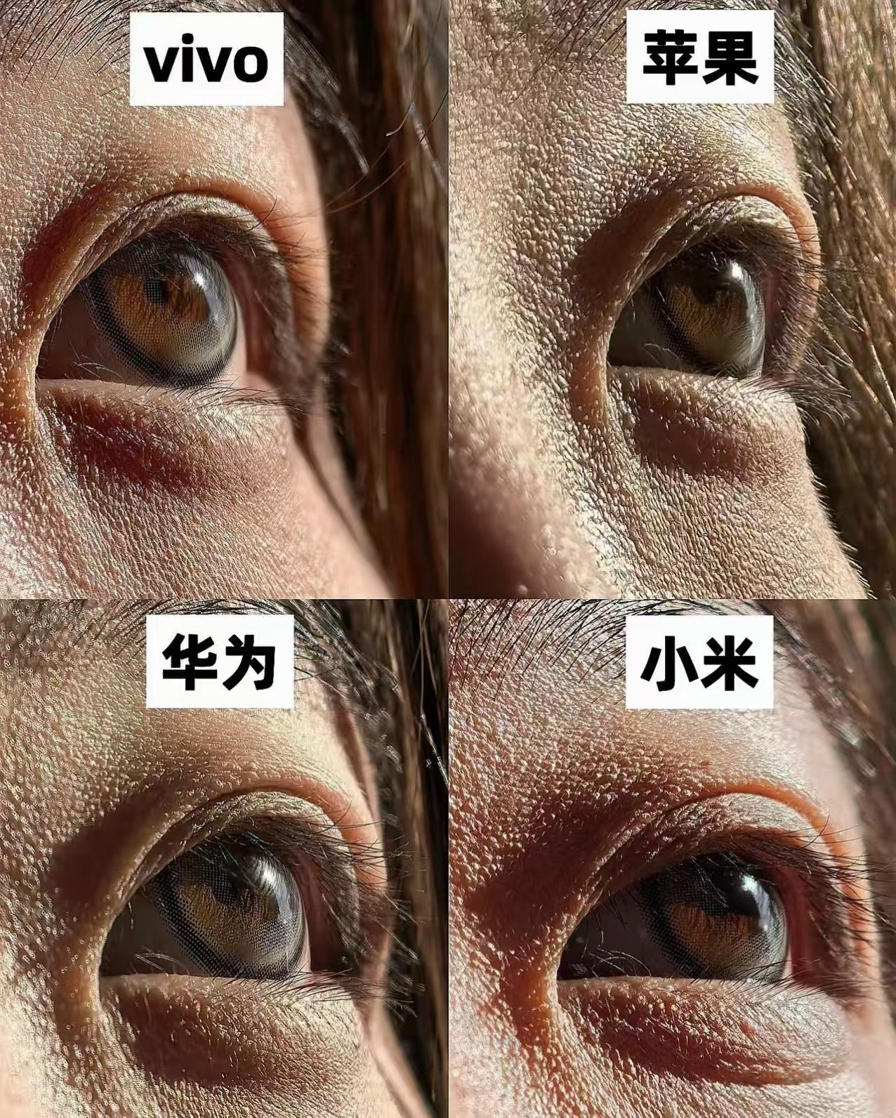 四家旗舰手机特写摄影评测，如今手机摄影追求极致，特写拍摄的细节表现成为旗舰机型影