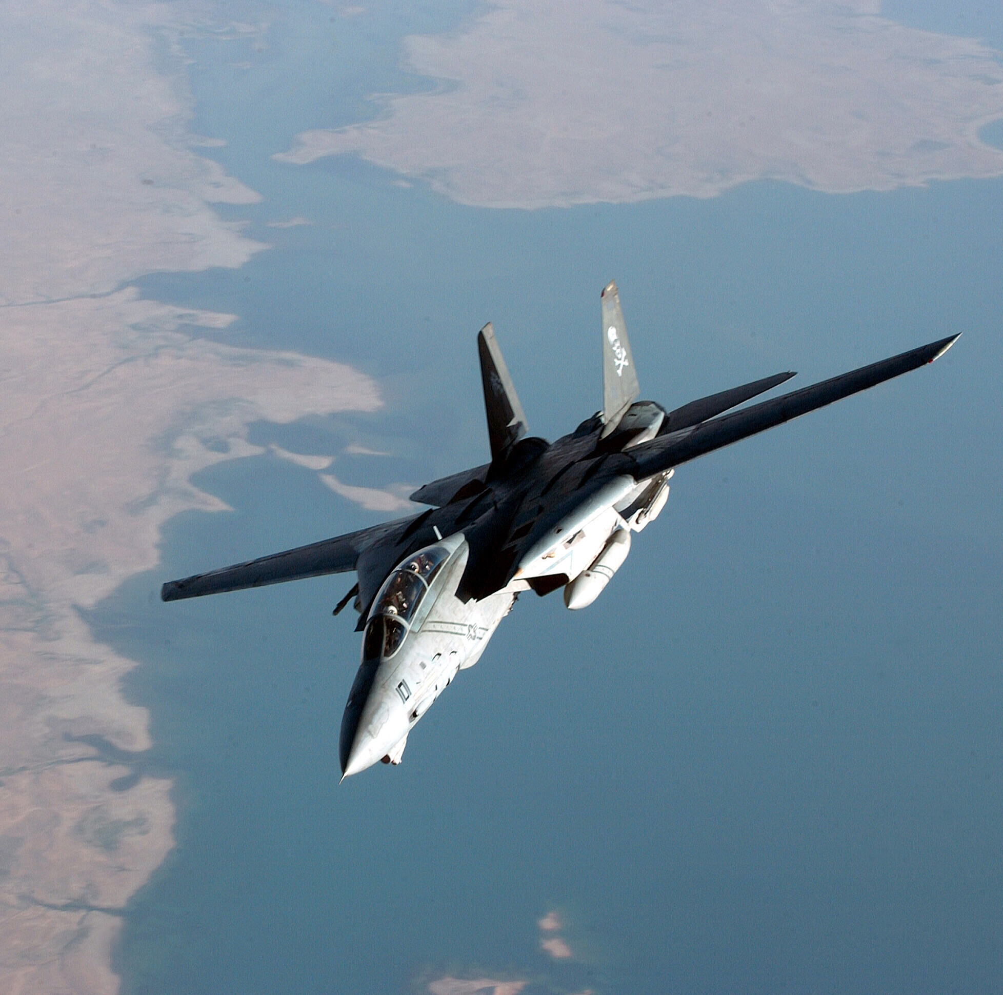 猫宁。海盗旗中队旗下的F-14大猫们