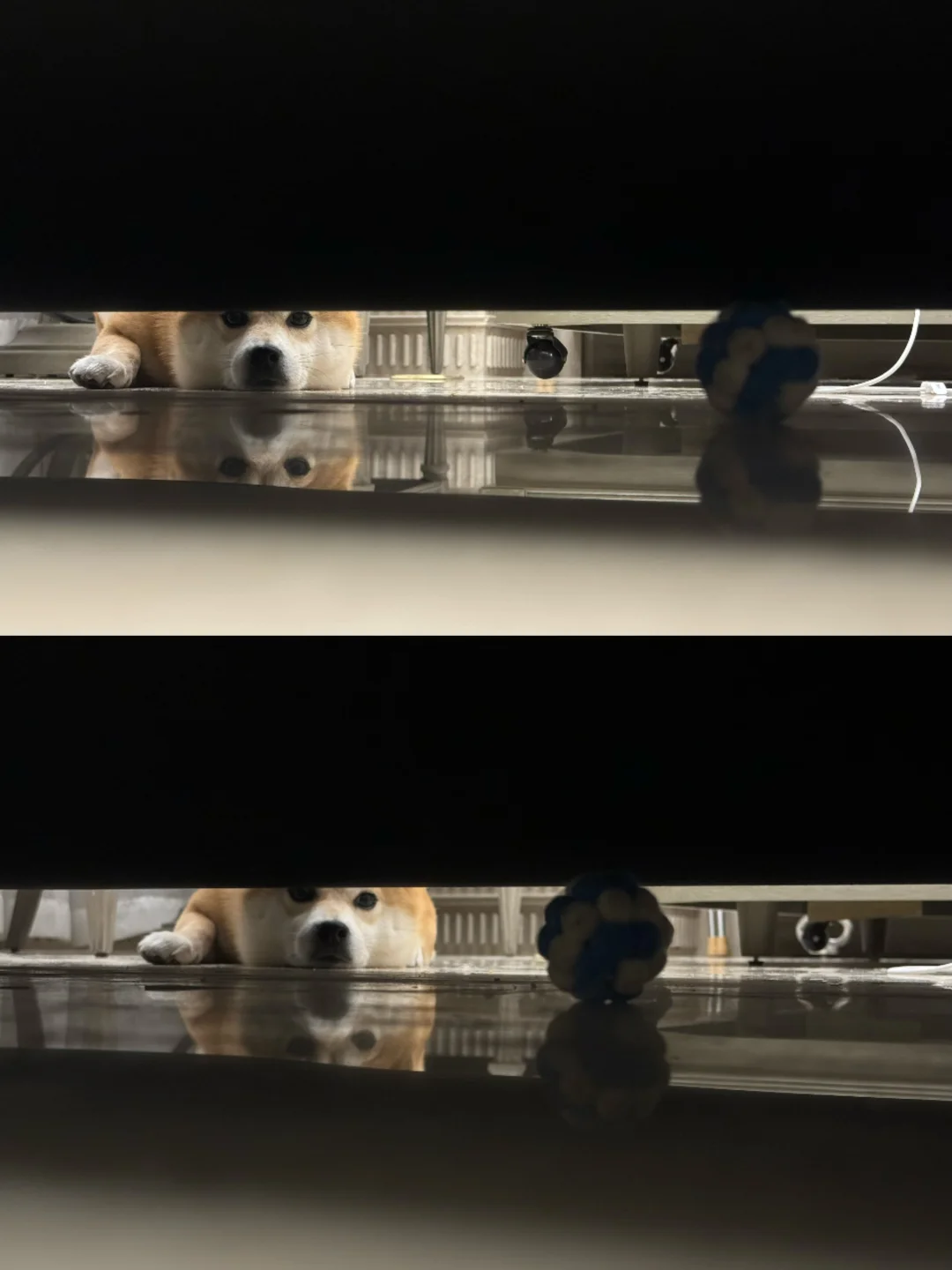 玩具掉沙发底下，我就一直这样……⚽️