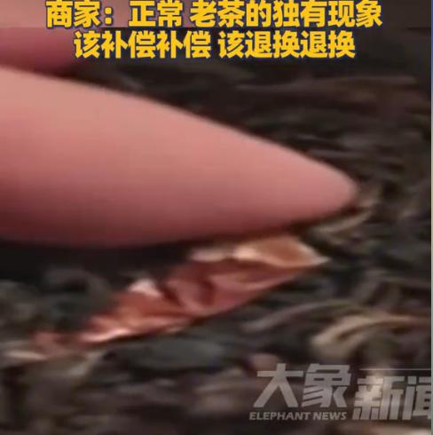 “爱茶人士天塌了！”近日，广东肇庆，一男子喜欢喝普洱茶，而后在一网红直播间刷到后