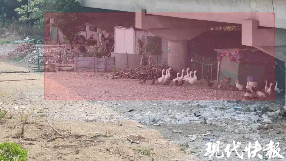 高速桥下空间本是公共区域，竟有人将其变成“私人庄园”，真让人无语。就像苏州常台高
