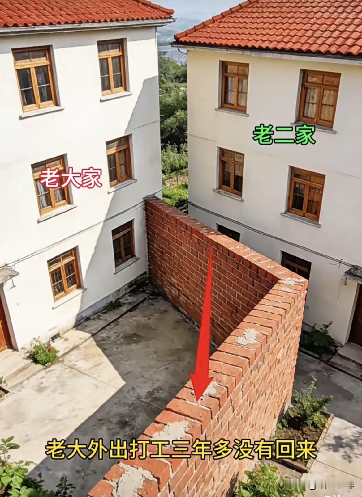 老大外出打工三年多没有回来，今天回来一看直接傻眼了，原来是兄弟俩的共院，如今