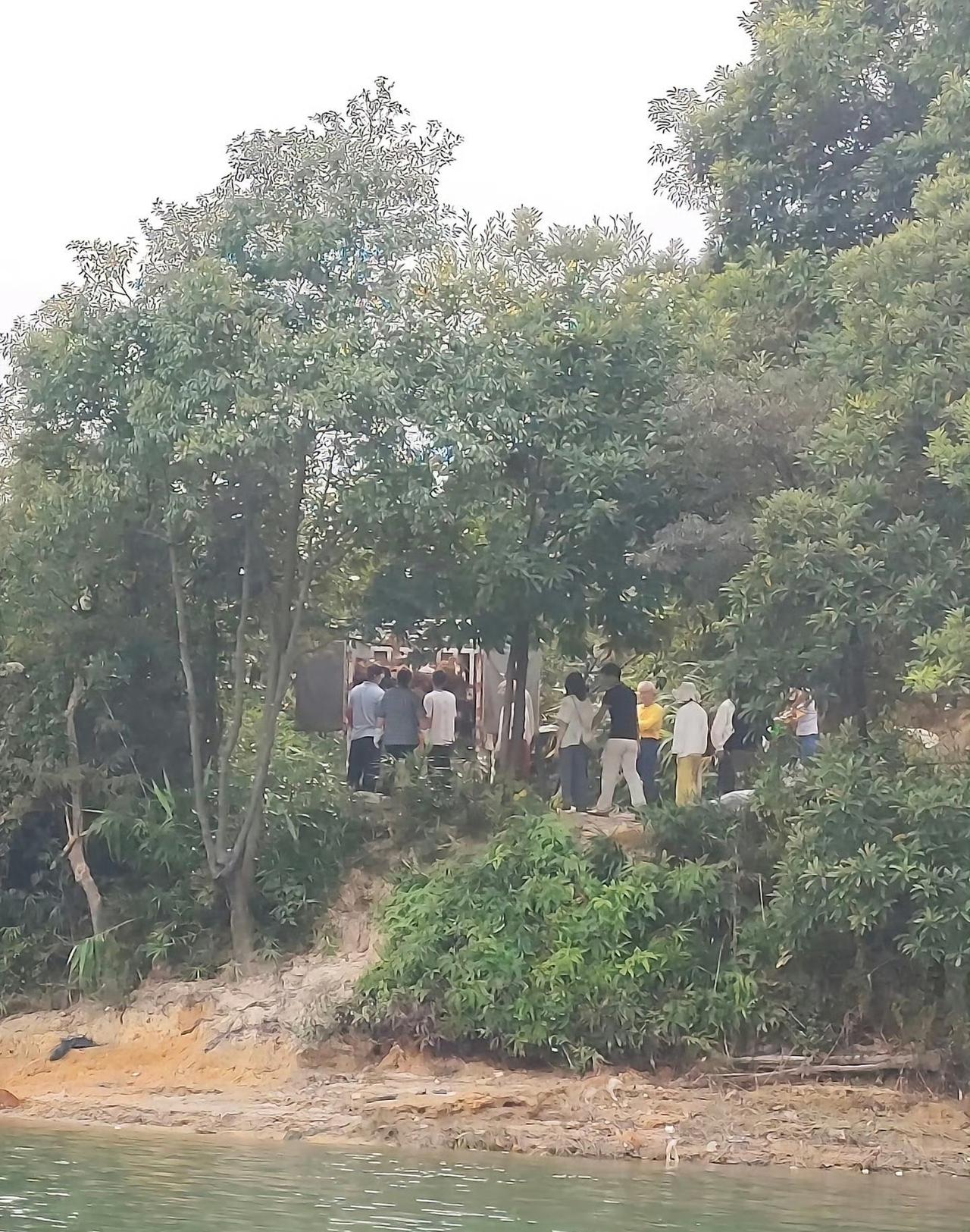 清远水库放生猫事件，放生者团队成员称：这些猫是从猫肉车或餐馆，花5到8.5元一斤