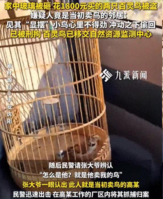 “玩不起别玩！”6月13日曝光，辽宁沈阳一大爷起来发现，自家玻璃被砸了，养了2年