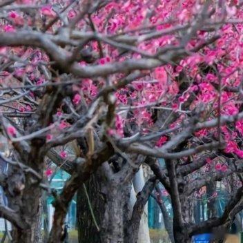若将世路比山路，世路更多千万盘。回家的路是最幸福的旅途！