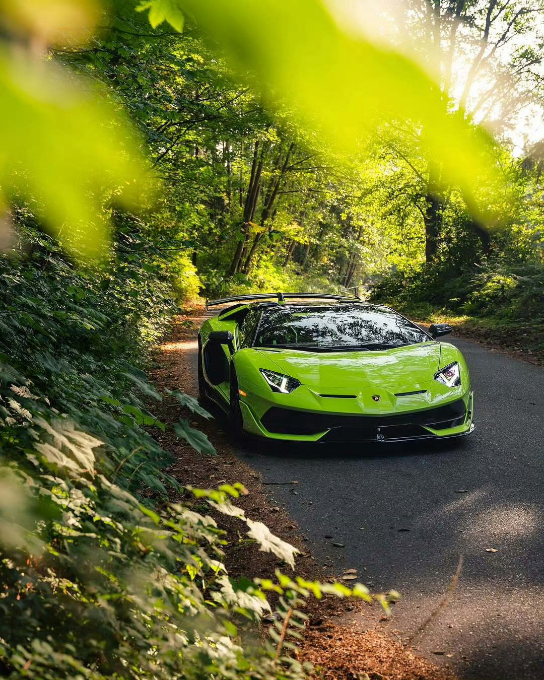 兰博基尼AventadorSVJRoadster💚💚​​​