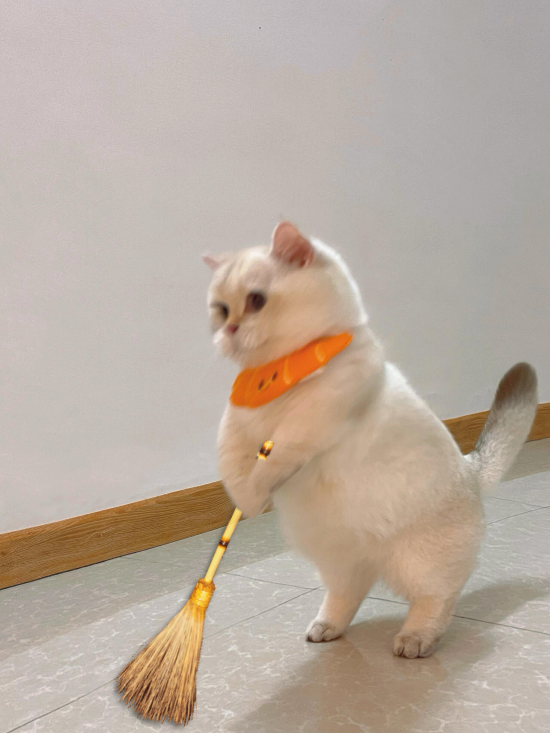 下班回家看到这一幕…