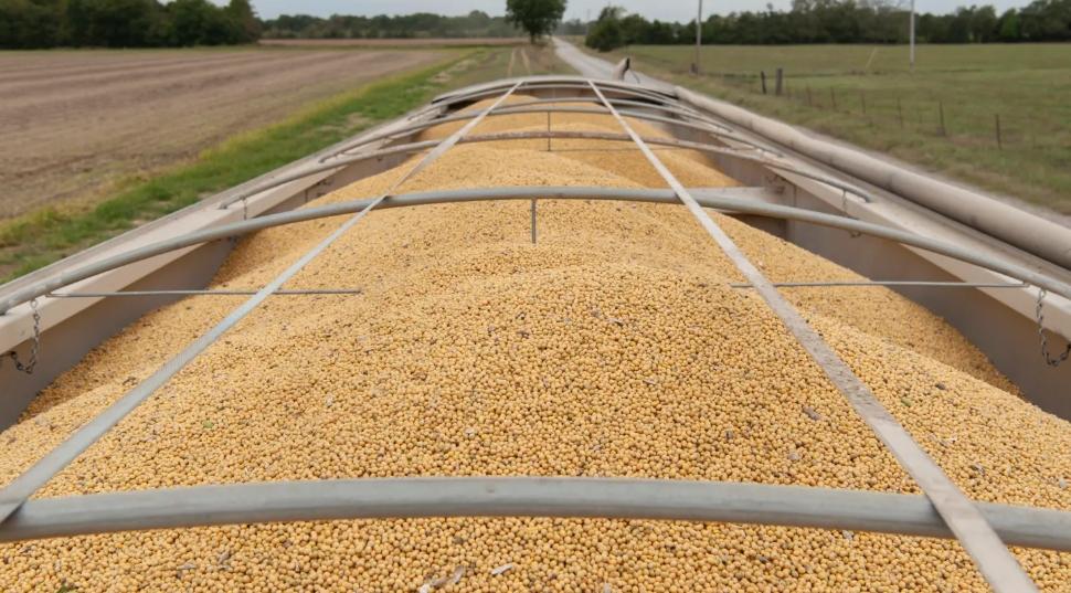 估计美国豆农开心了,刚刚,中国下了3批美国大豆订单,也用这种方式,欢迎美国客人到