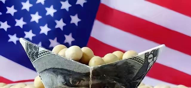 简直是无法无天。巴西知道中国需要购买大量的大豆,这时候中国拒绝美国的大豆,使是美