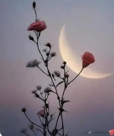 12月7日，河南三门峡一项目工程，在施工过程中发生边坡塌方，5名施工人员不幸遇难