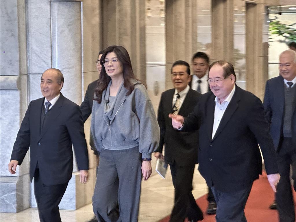 率四位副主席，文传会主委，发言人的强大阵营南下高雄，郑丽文为什么要给王金平这么高