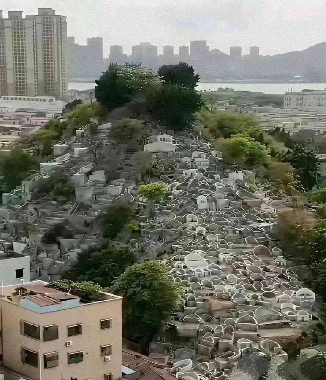 这就是多年后土葬的后果！！！
