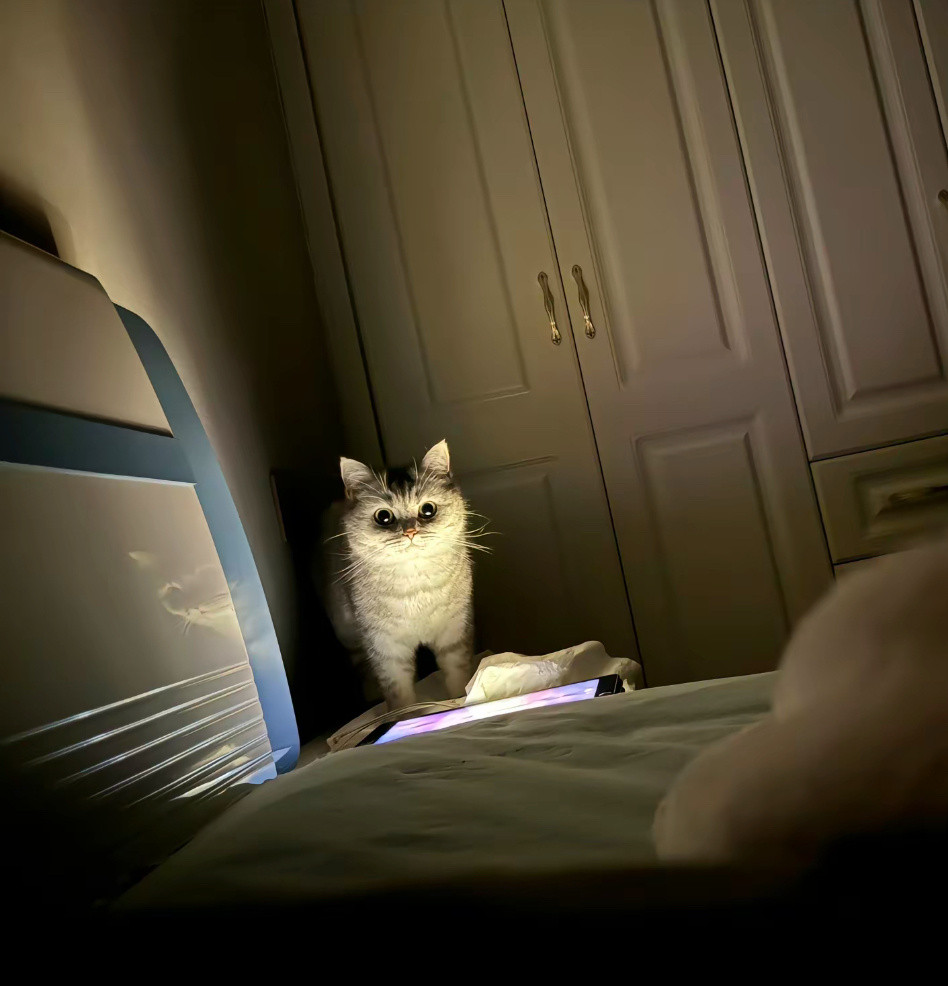 为什么点亮我的ipad？