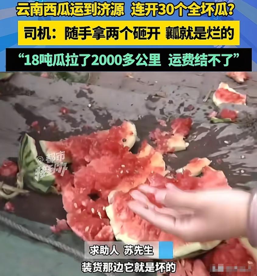 男子从云南运了18吨西瓜到济源，可收货方一检查，连开了30个瓜，外面都是好好的，