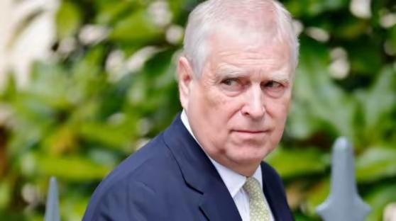 他被剥夺英国王子身份,公爵身份也没有了。原因让英国王室蒙羞,经常跑去萝莉岛体验民