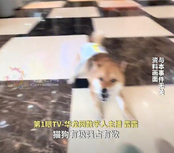 “悲剧还是发生了！”7月13日，浙江一新手爸妈因专注照顾月子里的宝宝，疏忽了家中