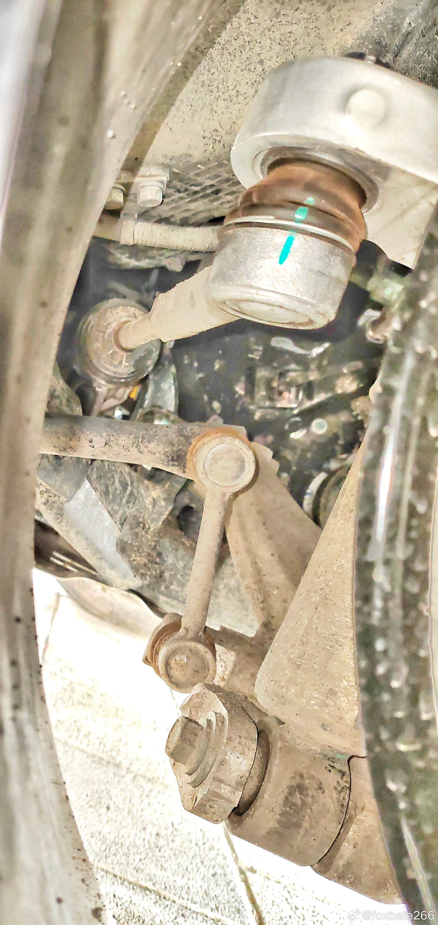 逮到野生仰望U8L了。。。