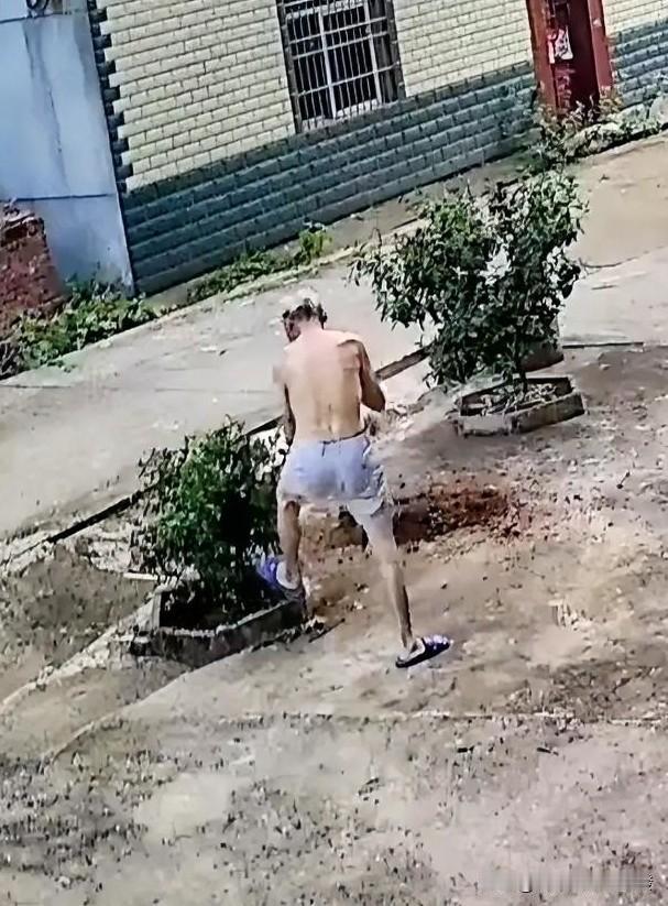 一位老人拿着铁锹，突然把自己家门口的2棵绿化树给铲了，之后把路面整平，打扫得干