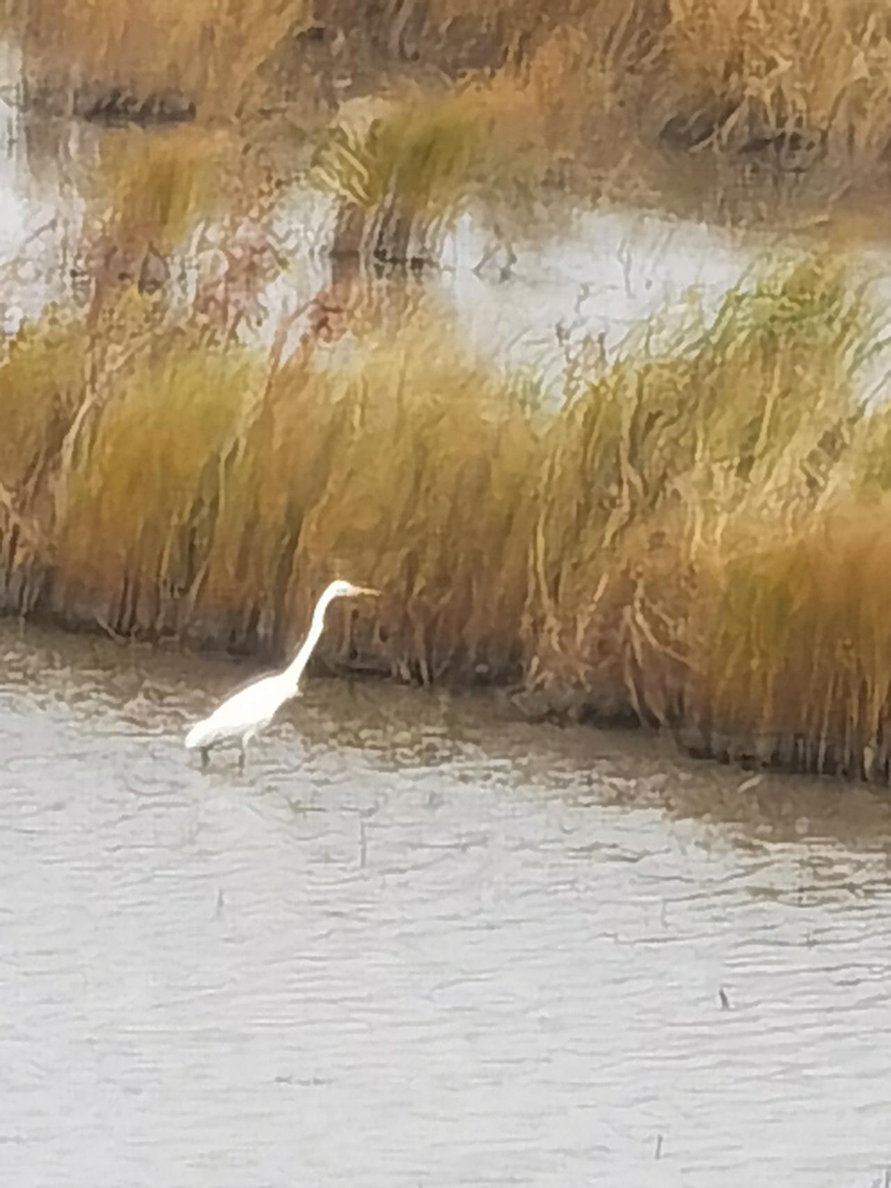 突然产生一个很可怕（可贵）的念头：把工作辞了，生意清盘了，把亲断了，孩子也不管了