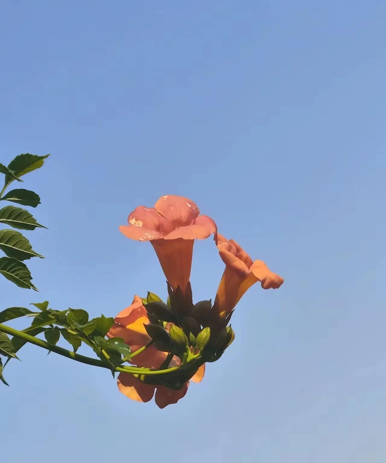 思想不在一个高度，尊重就好，三观不在一个层面，微笑就好，话题不在一个频道，闭嘴就