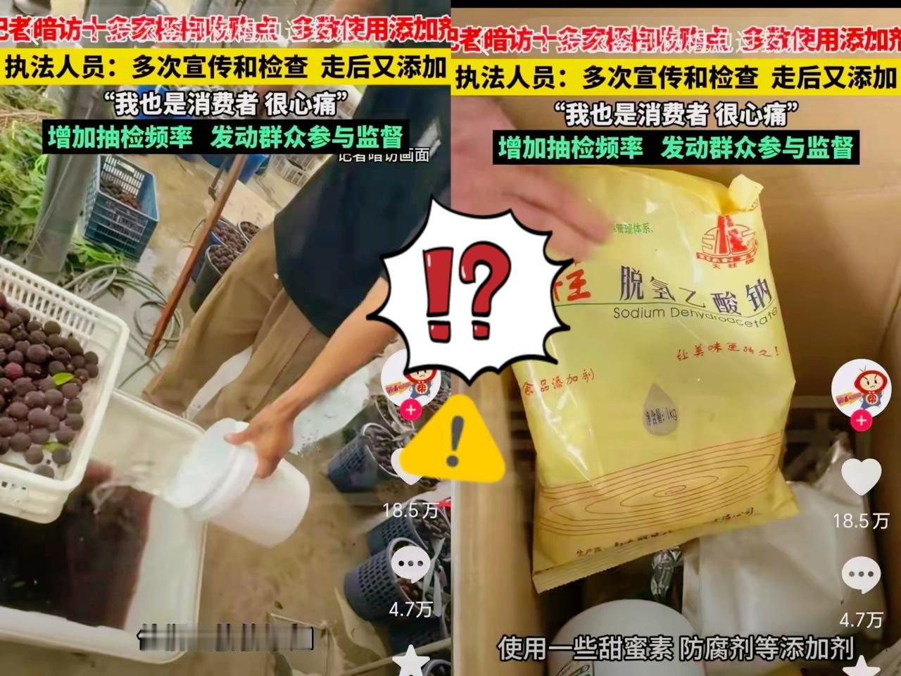 不作不死！漳州杨梅烂地里也没有人买了！糊弄检查的人员，检查人员一走，他们就继