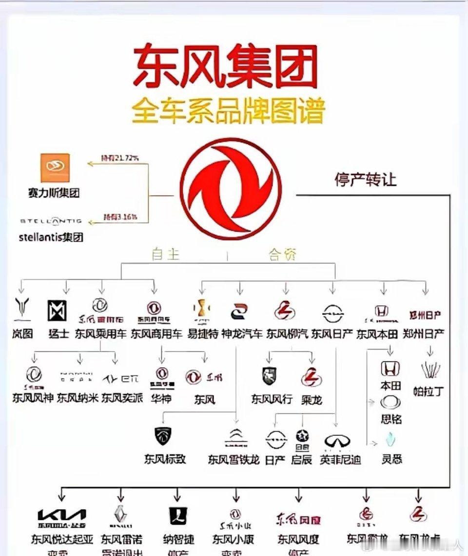 赛力斯大卖，我原本以为最大受益者会是华为，但看这份股权架构之后，发现东风汽车好像才是最大赢家。事实再