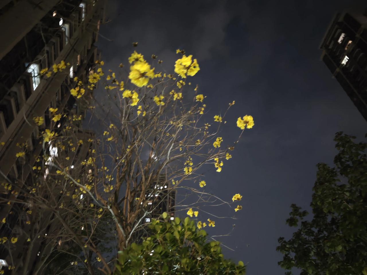 视频号里看到的：妻子商量着说：我在家全职带娃，你负责家庭开支。丈夫生气：那