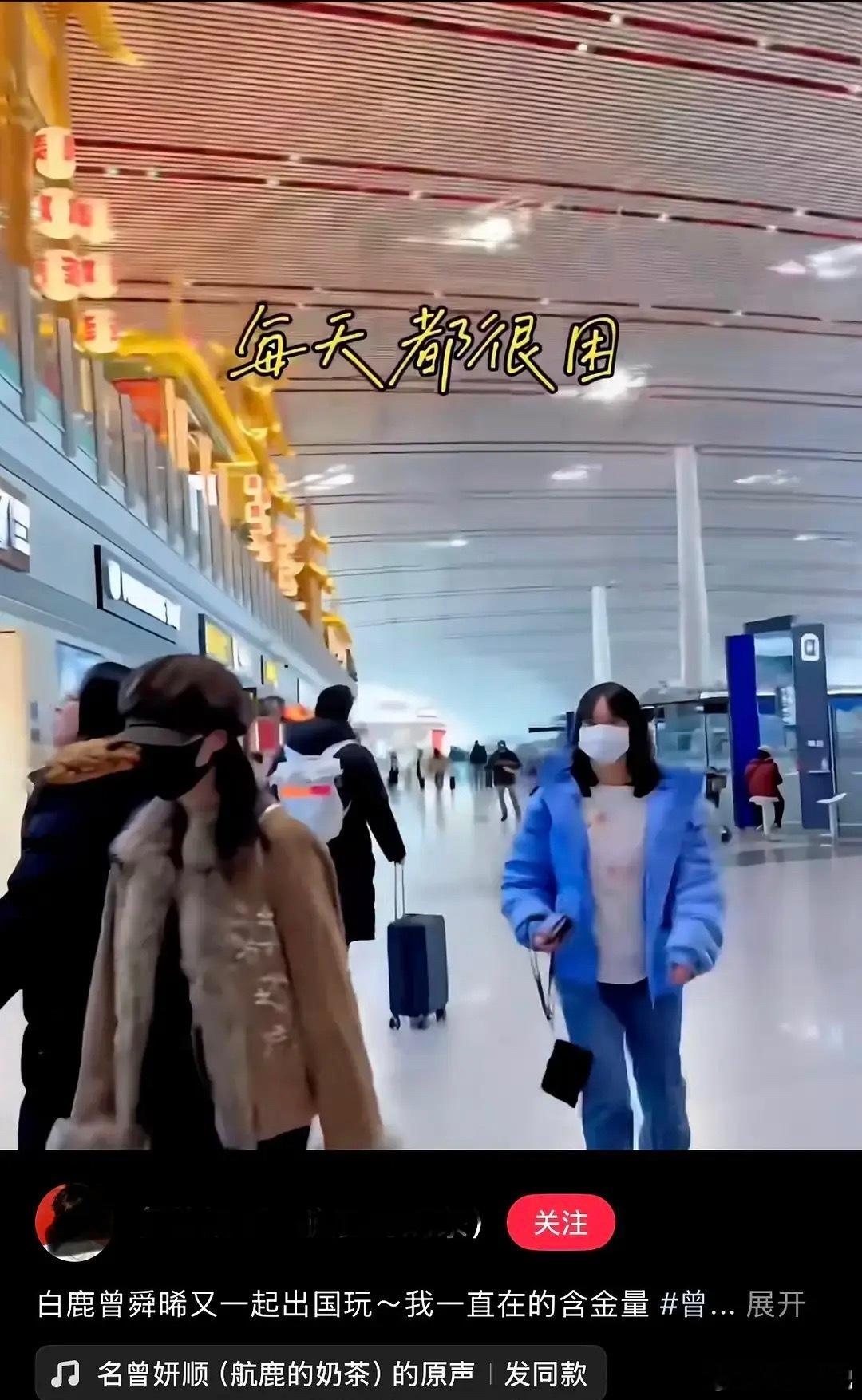 白鹿和曾瞬晞关系也太好了吧