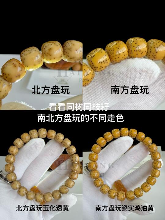 同树同枝星月菩提，南北走色差异实录！