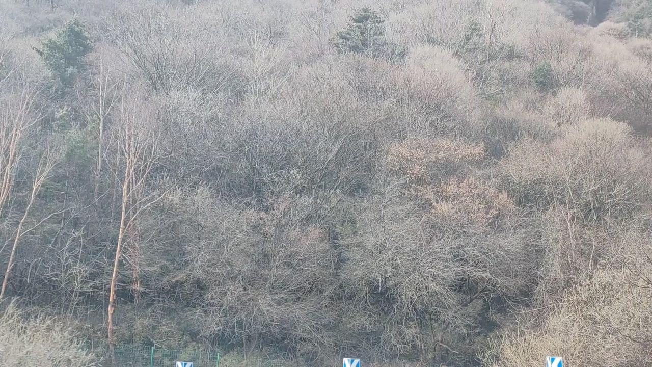 🌿秦岭210国道自驾，被山川温柔环抱的幸福时刻行驶在210国道上，秦岭的群山