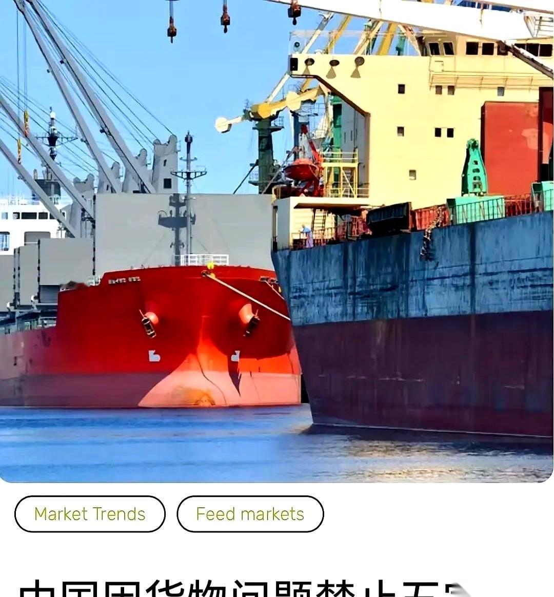 一船6万9千吨的巴西大豆，浩浩荡荡开到家门口，结果呢？不让进。最有意思的是，