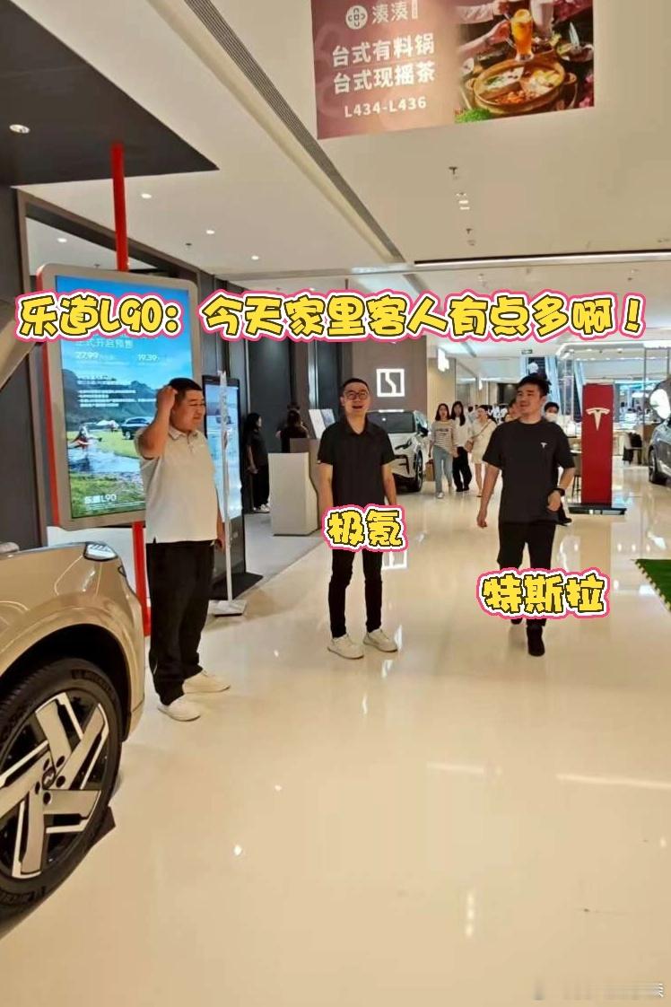 极氪：边上干啥呢？咋都是人？特斯拉：让我来瞅瞅，到底L90怎么个回事？⬇️乐