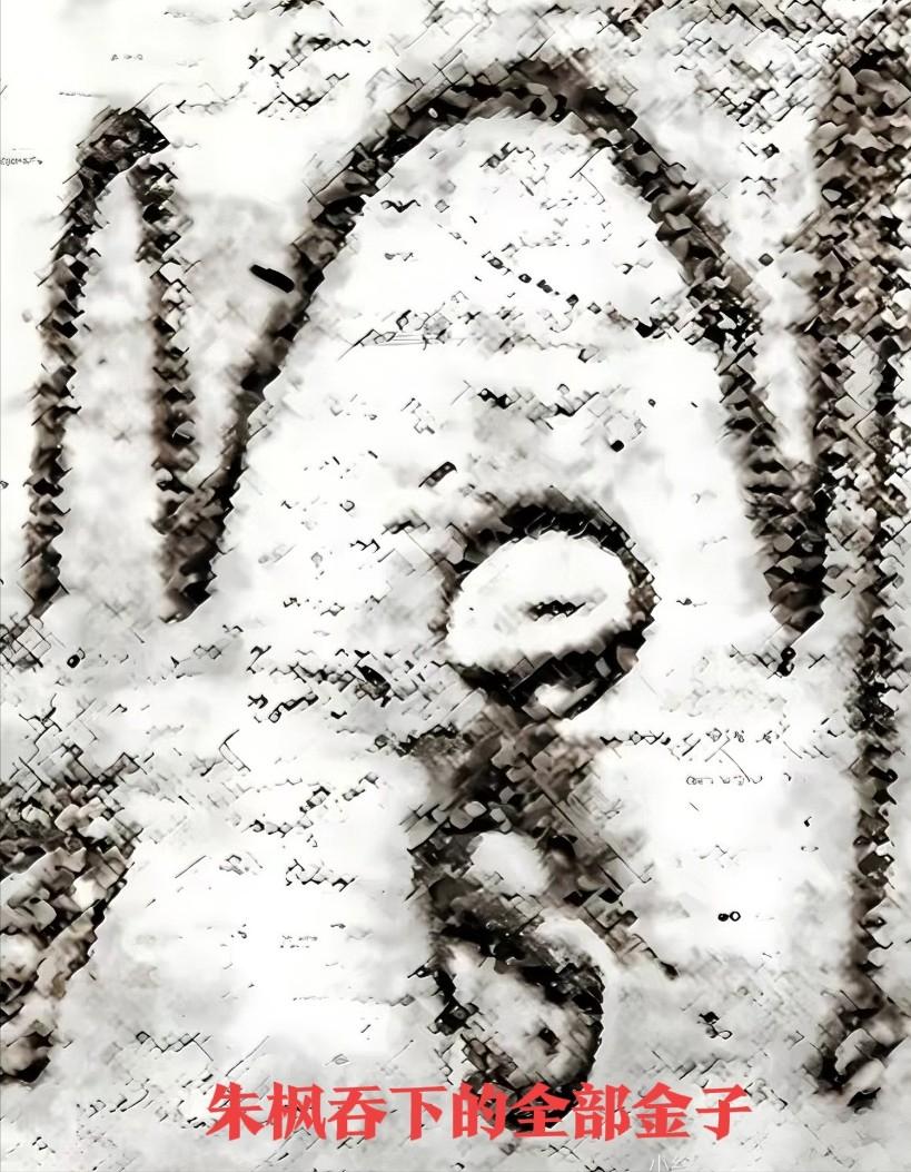 你们知道吞金有多痛吗？不是吞金条，是把贴身的金锁片、金链子、金手镯混着热水咽下去