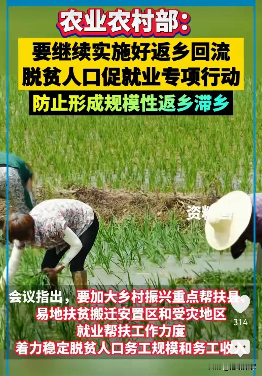 农业部发文要防止形成规模性返乡滞乡，归根到底还是经济发展不景气，农民工找工作太难
