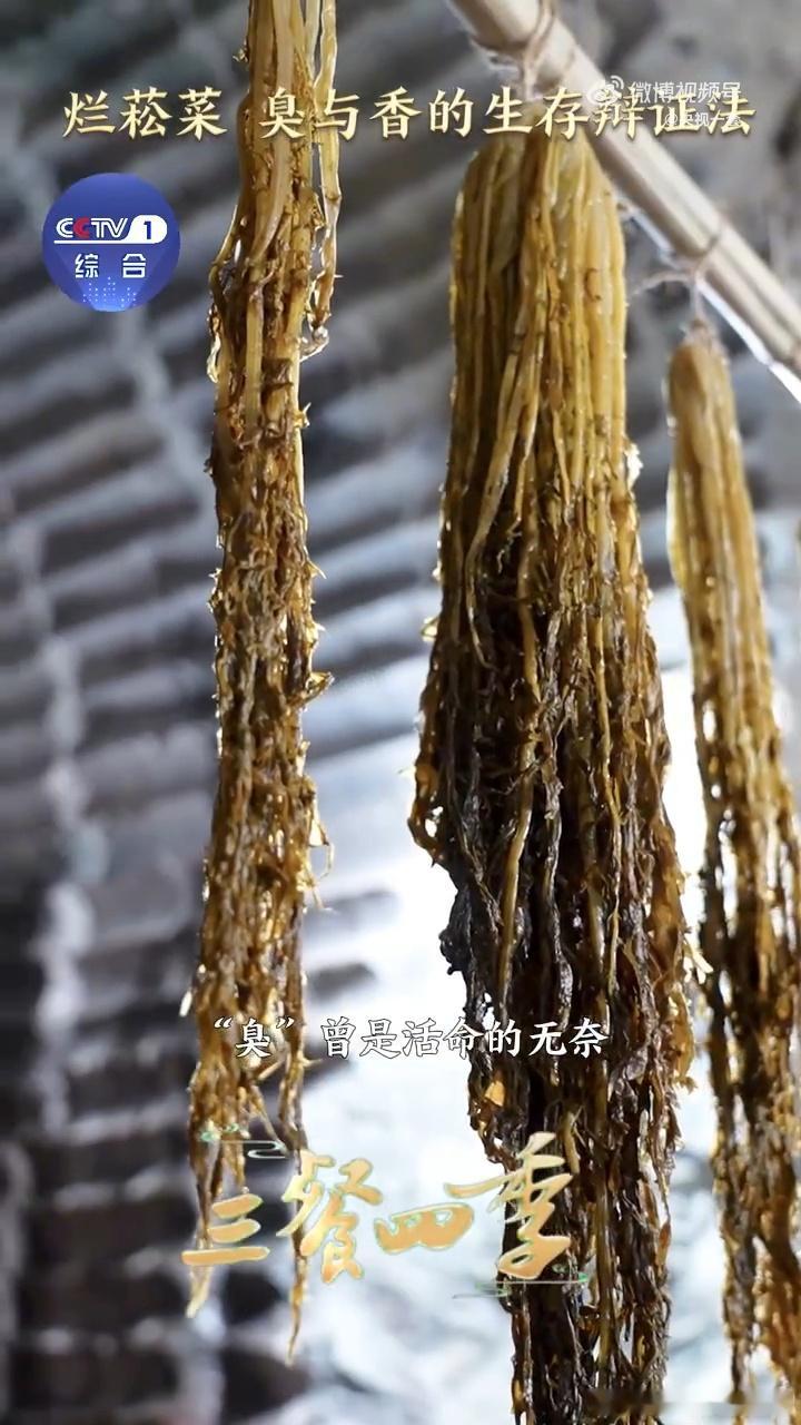 臭到怀疑人生的烂菘菜你敢尝试吗烂菘菜那味儿简直绝了，光想想就上头，很好奇吃起来什