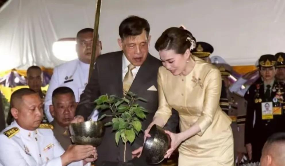 被源源不断年轻貌美的妃子虎视眈眈的盯着，王后苏提达每天也是提着100个小心，生怕