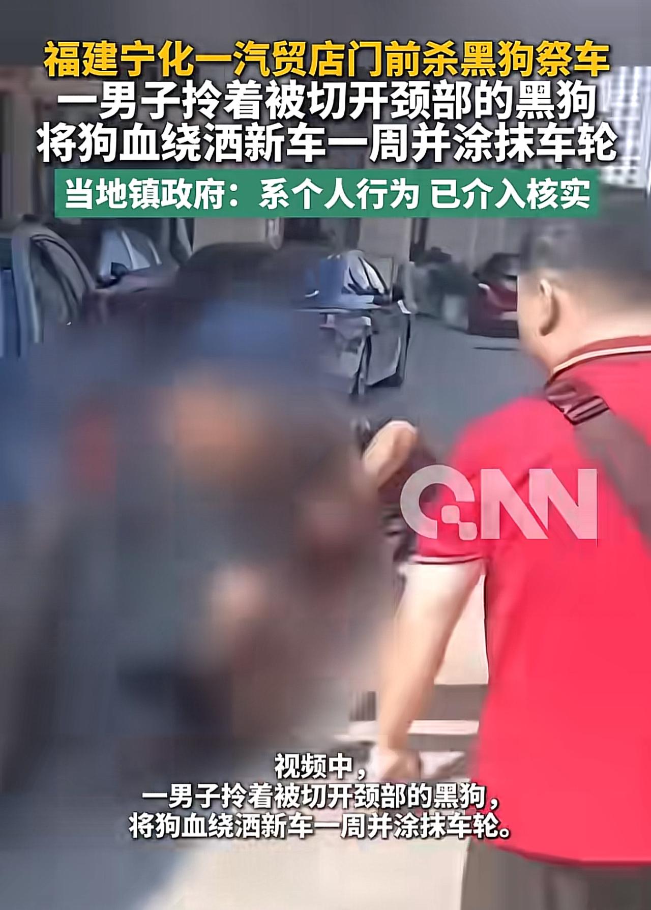 “不怕遭报应吗？”福建宁化，男子买了新车，搞了个别出心裁的“杀狗忌车”仪式，场面
